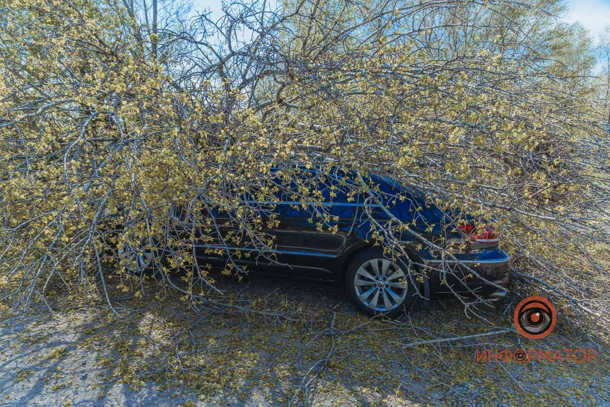 Оба с трудном выбрались