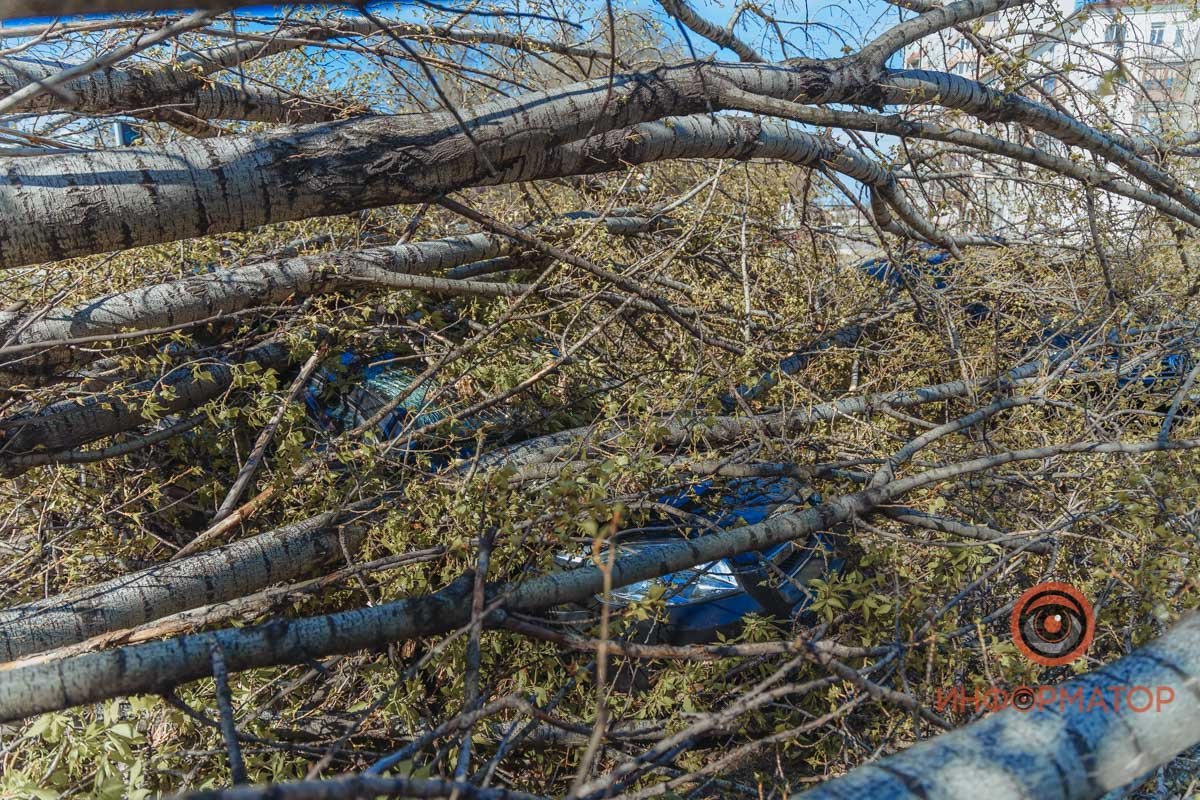 На место вызвали бригаду ГСЧС и наряд полиции