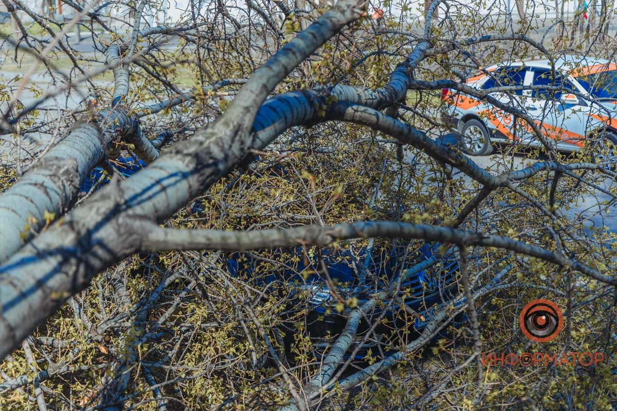 Оба водителя не пострадали