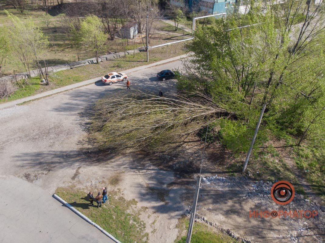 Теперь обоим предстоит куча бумажной волокиты, чтобы выбить компенсацию за повреждения