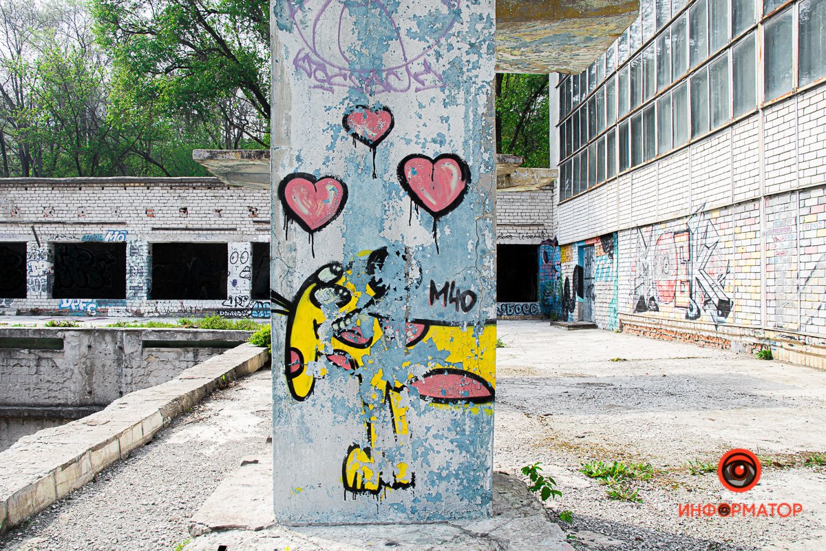 Котопес, ты где? Котопес, ты где?