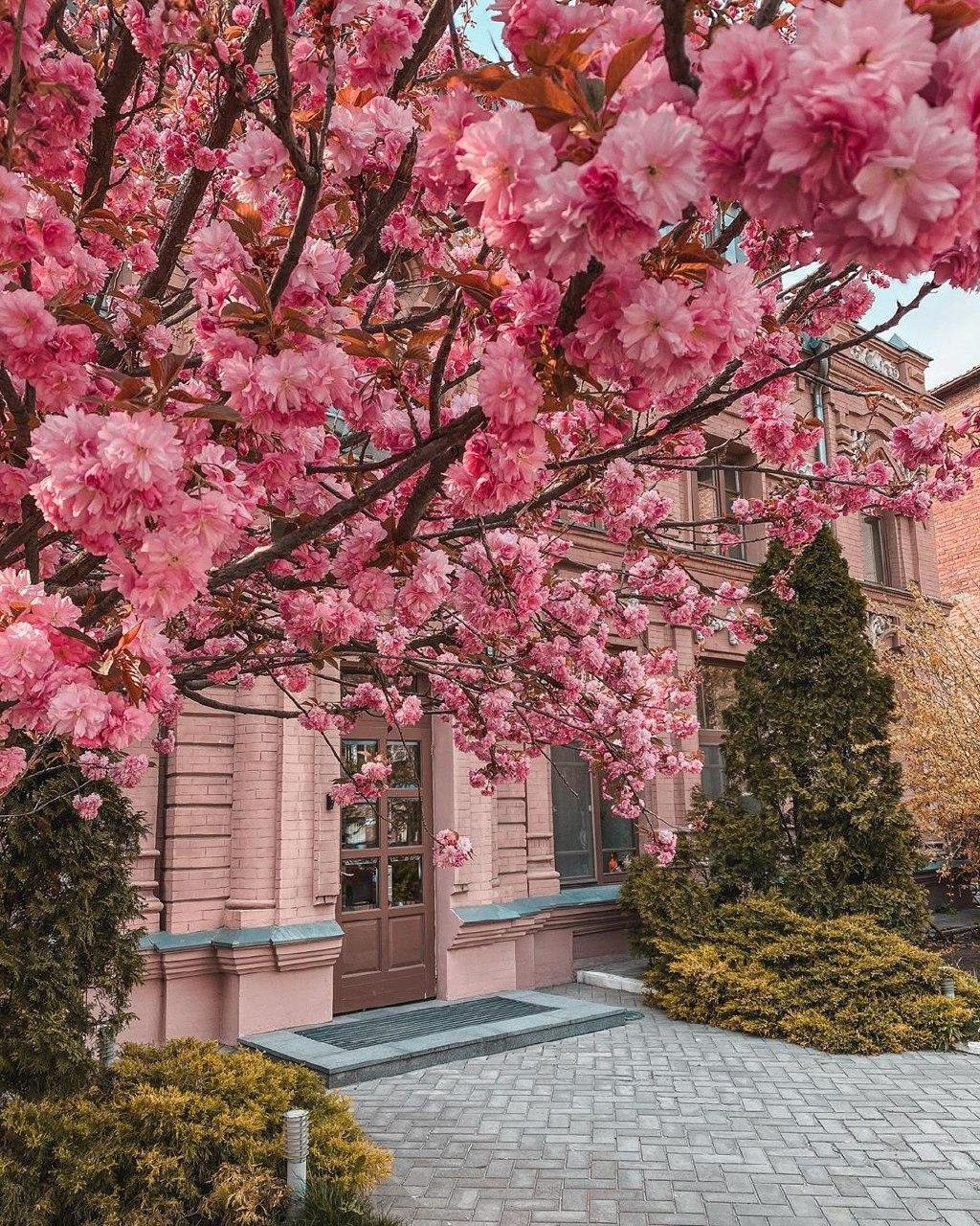 Если бы у Днепра был Instagram: ТОП красивых фотографий города 4