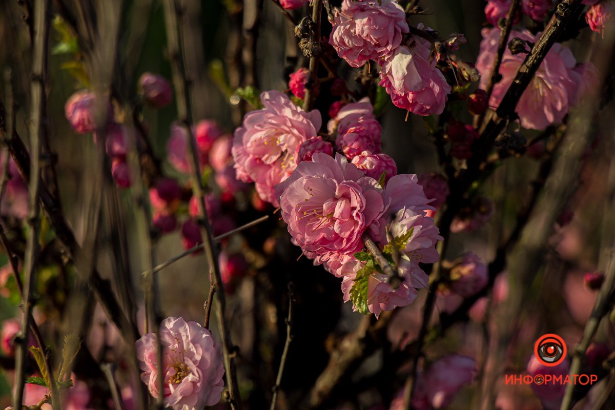 Забудьте о плохом