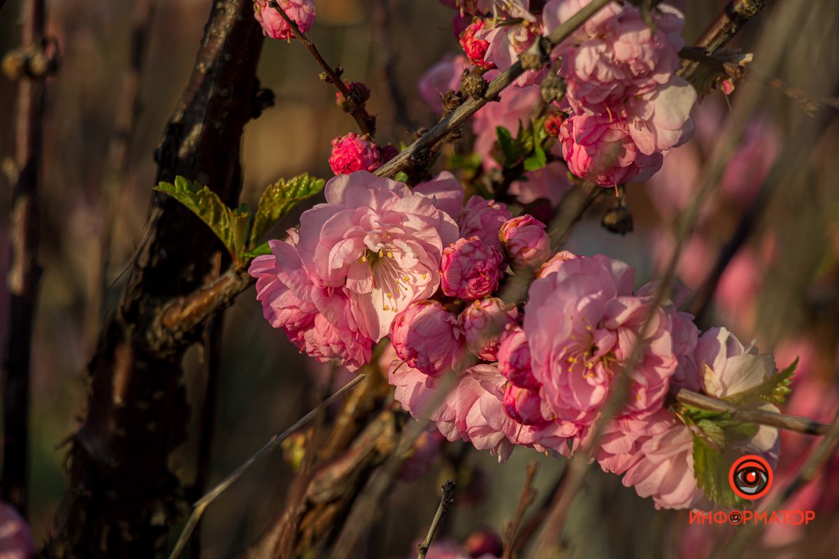 Можно смотреть вечно