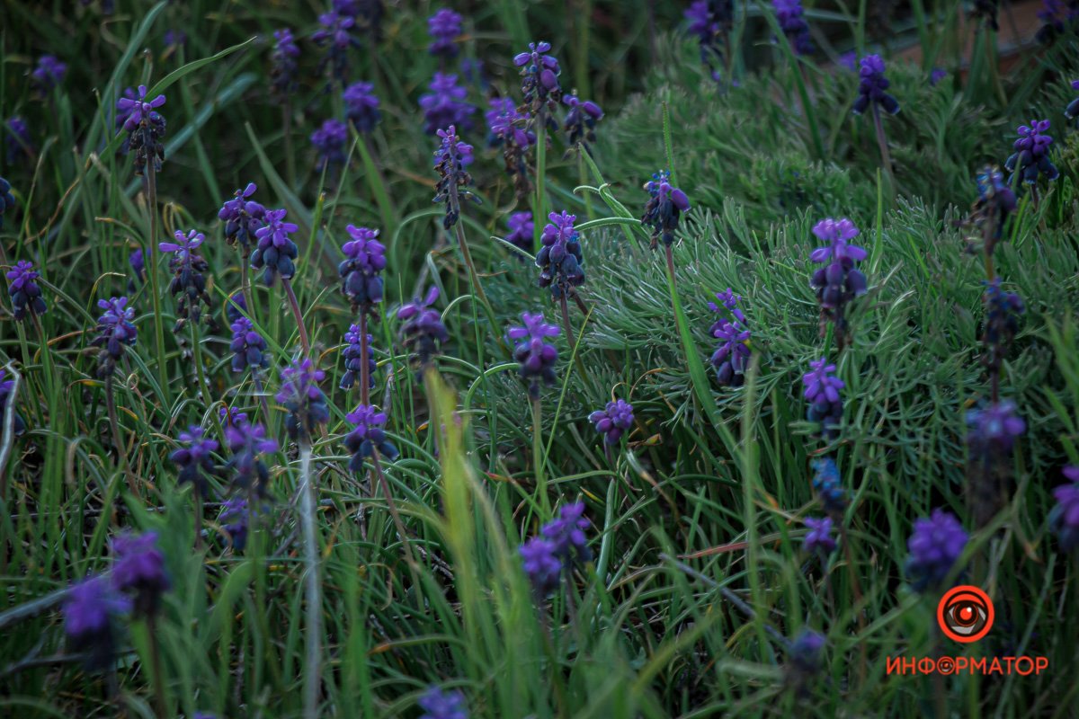 Весна пришла