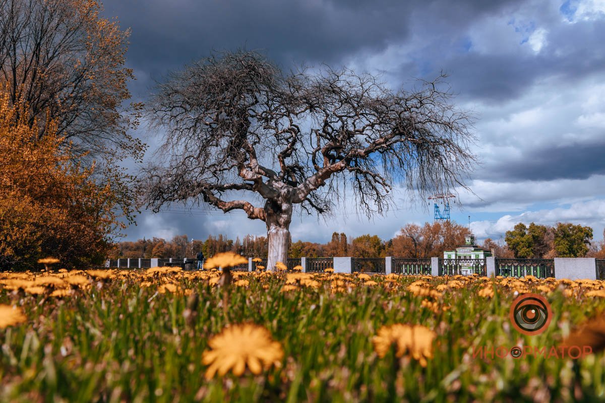 Открывайте окна