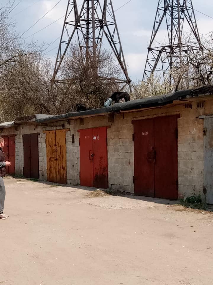 Она не может пить и есть