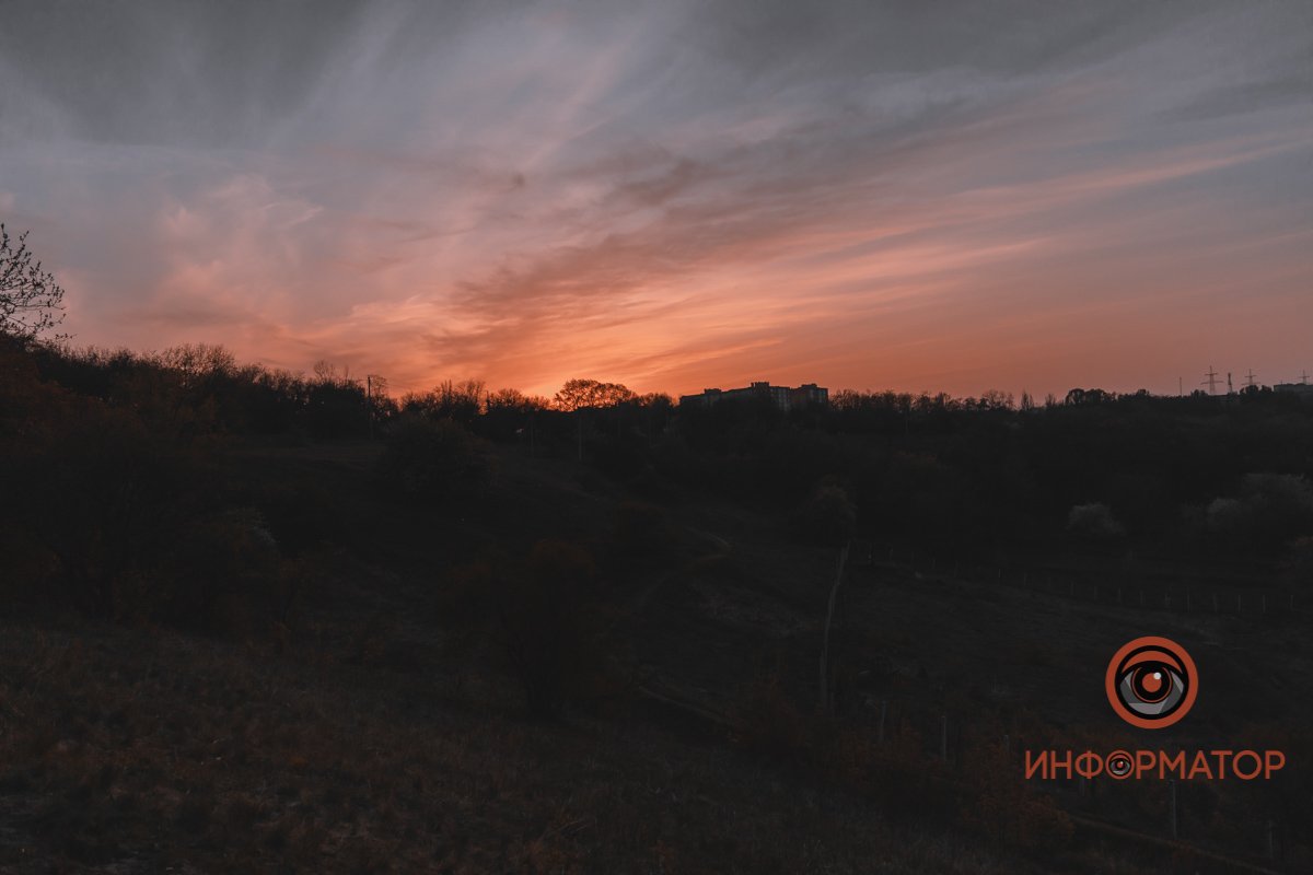 Она вся из цветов полевых Внутри,