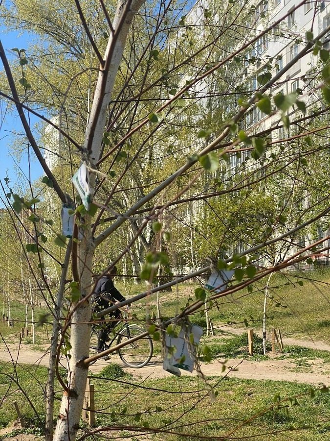 В Днепре депутаты горсовета поливали Березовый сад 6