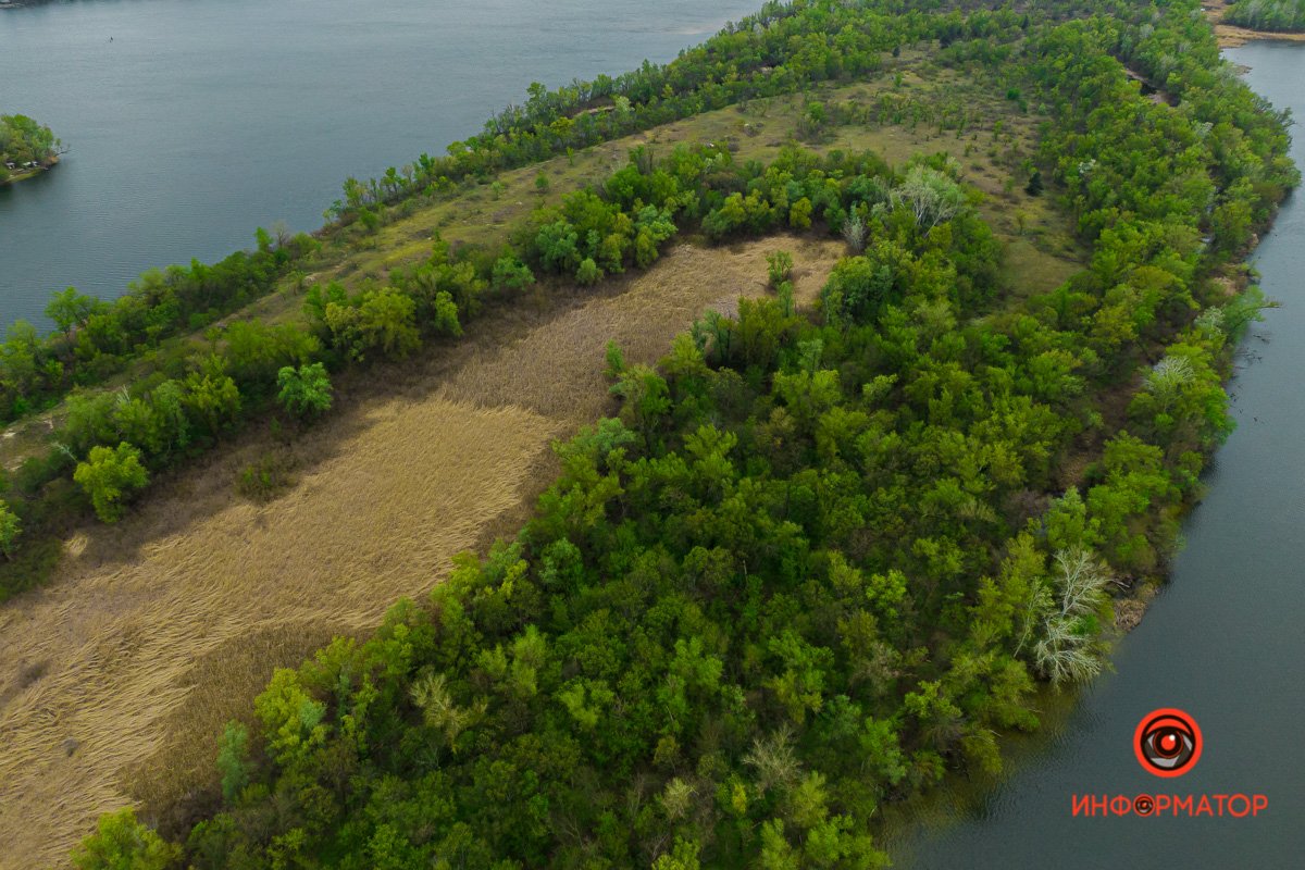 Весна пришла  Весна пришла