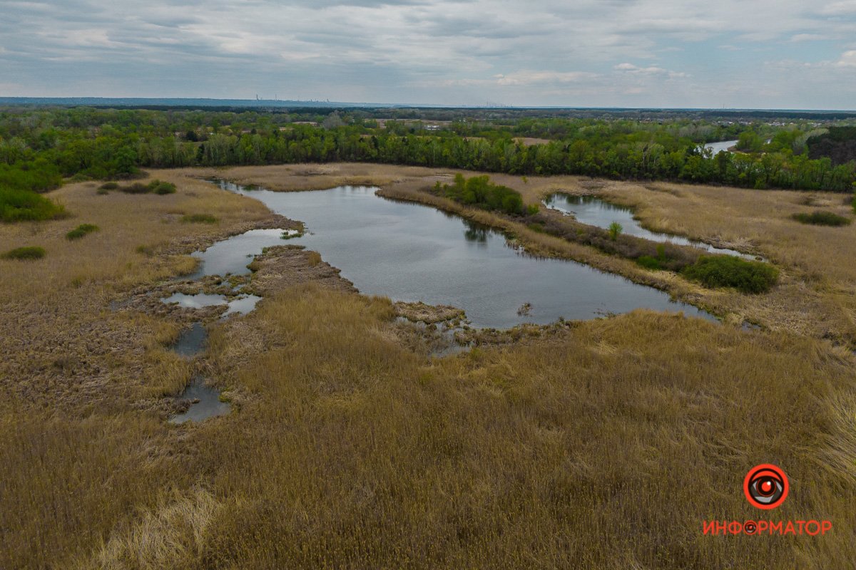 Скоро закончится карантин и мы все поедем на природу  Скоро закончится карантин и мы все поедем на природу