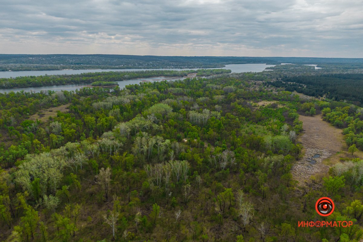 Мы принесли вам весну  Мы принесли вам весну