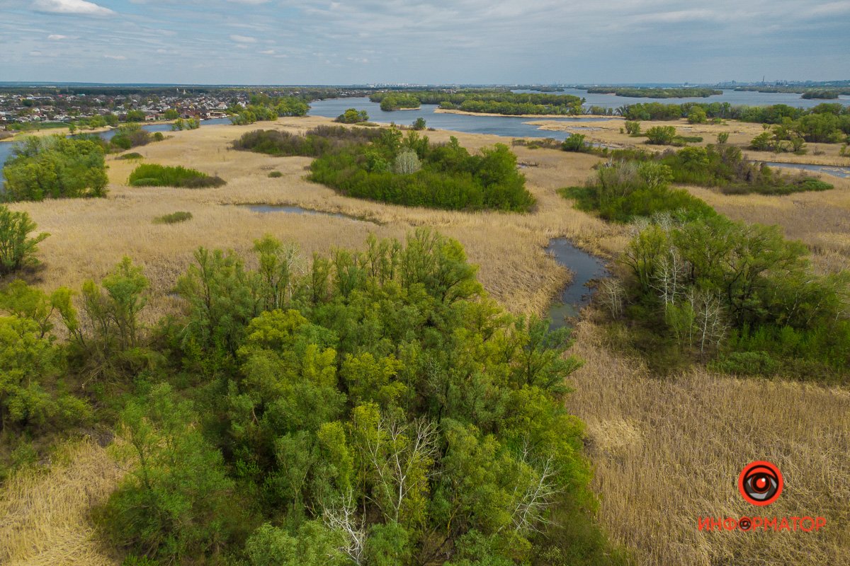 Любите свой город Любите свой город