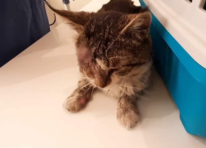 На лечение нужны средства