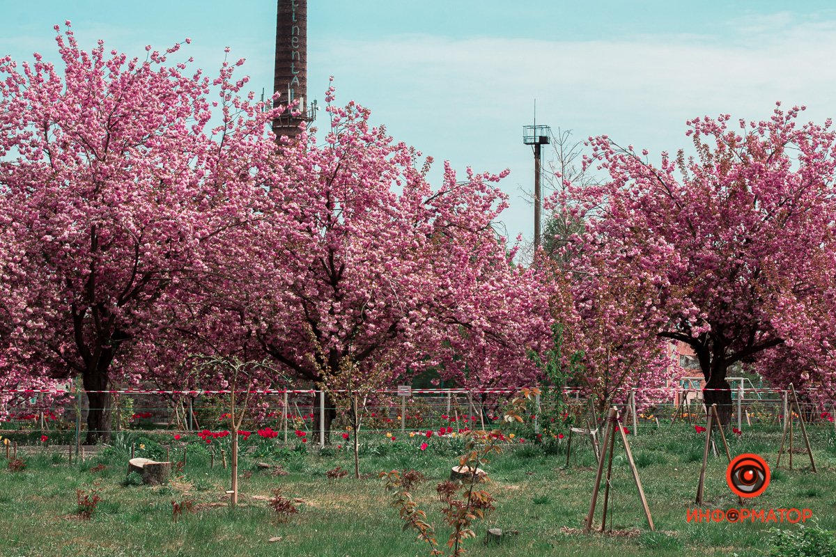 На расстоянии наблюдать можно