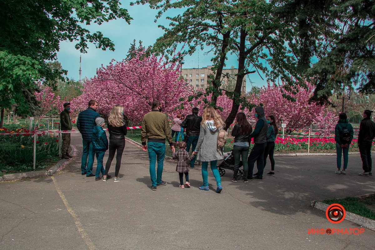 Пора написать новую антиутопию о том, как встреча с природой стала услугой, за которую нужно платить и ради которой нужно стоять в очереди
