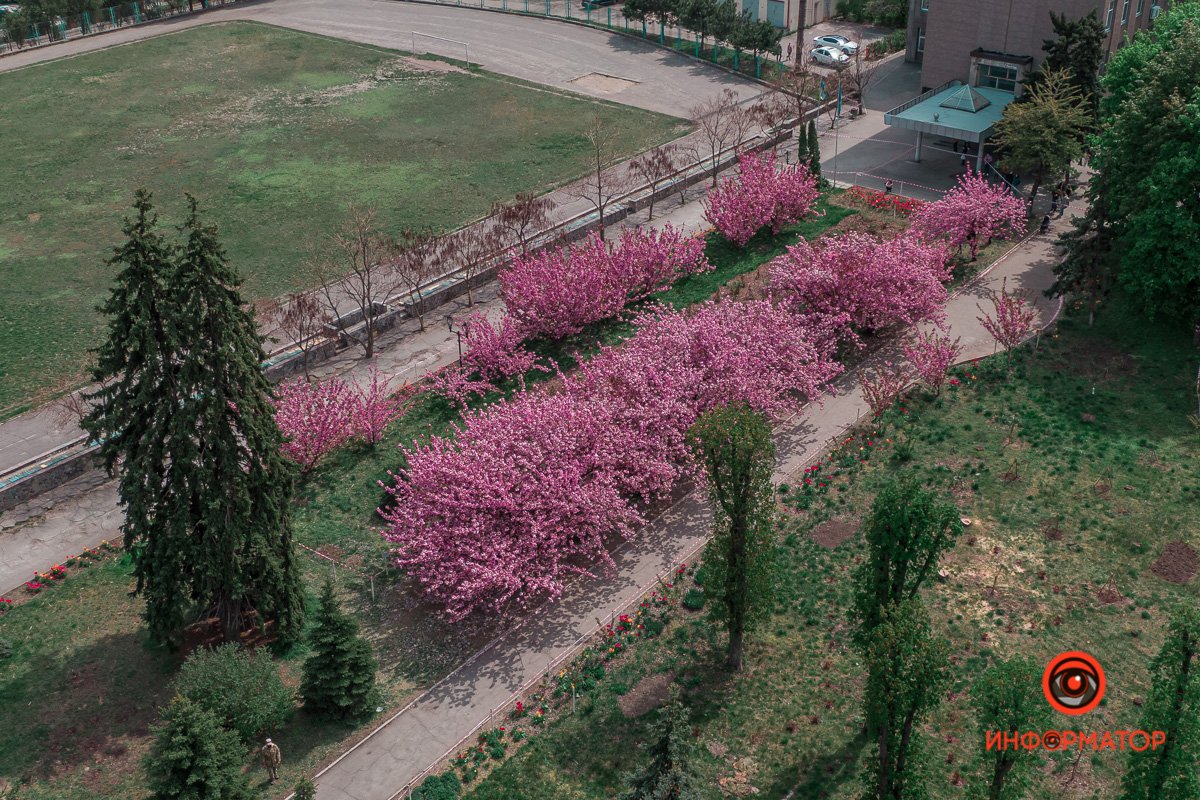 Весна разукрасила Днепр