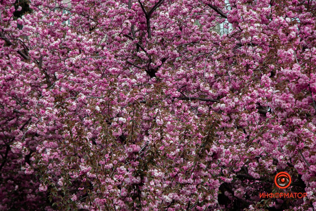 Мир вокруг прекрасен