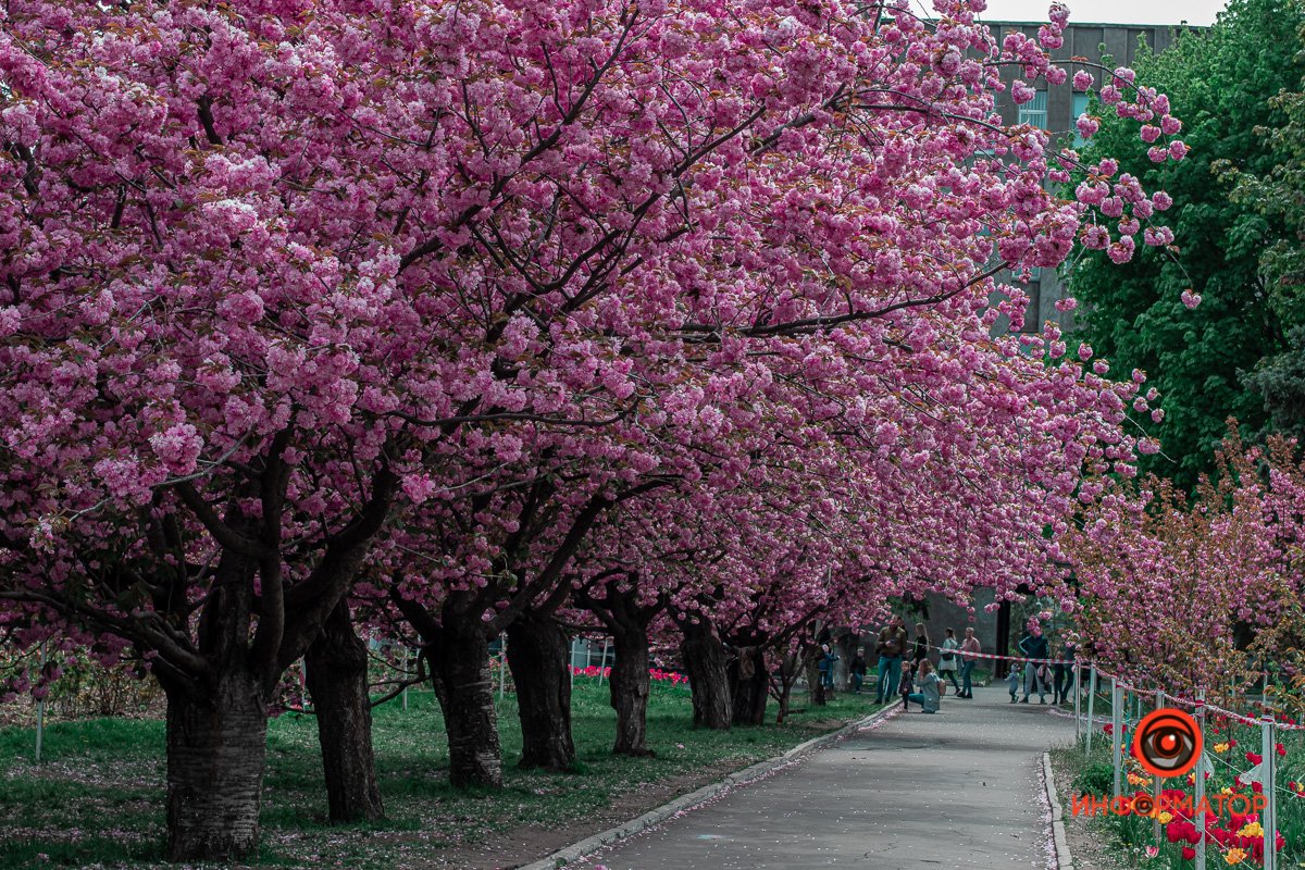 Весна, ты нас дождешься?