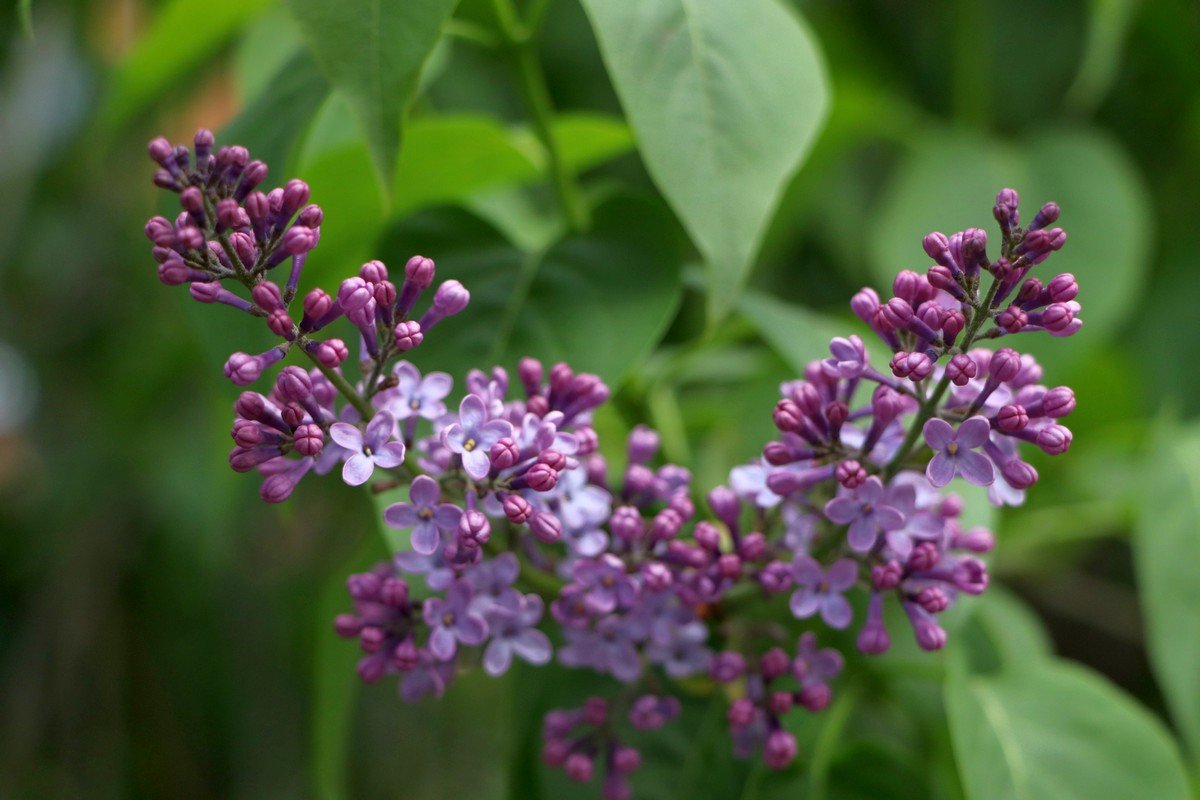 Мир вокруг просыпается