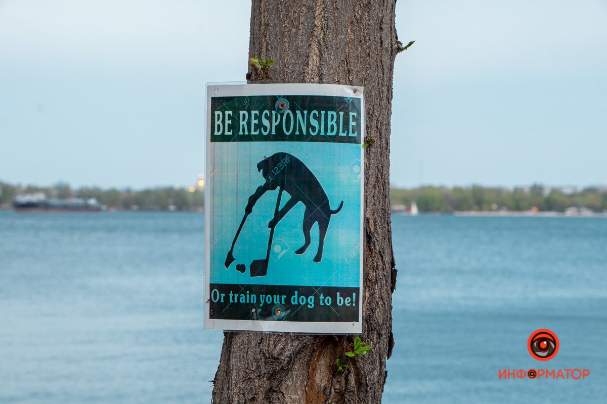 Собакен не уберет за собой сам