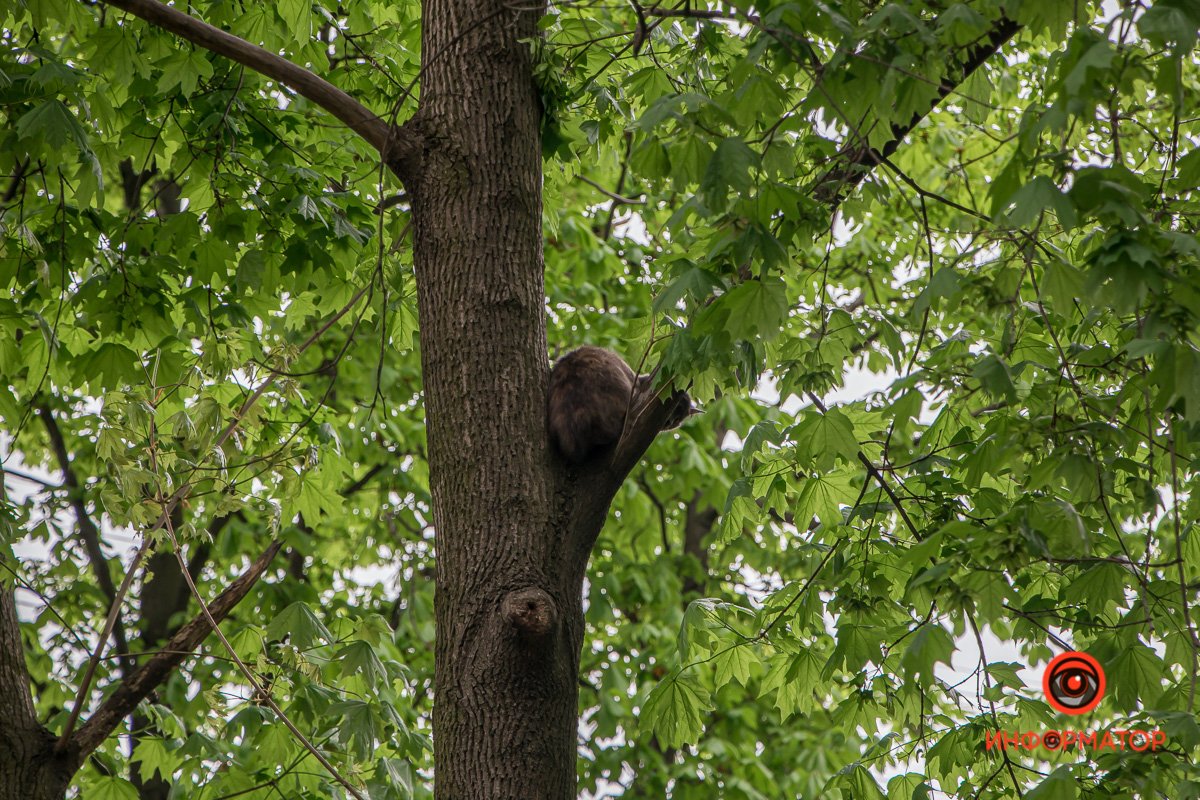Ждет спасателей Ждет спасателей