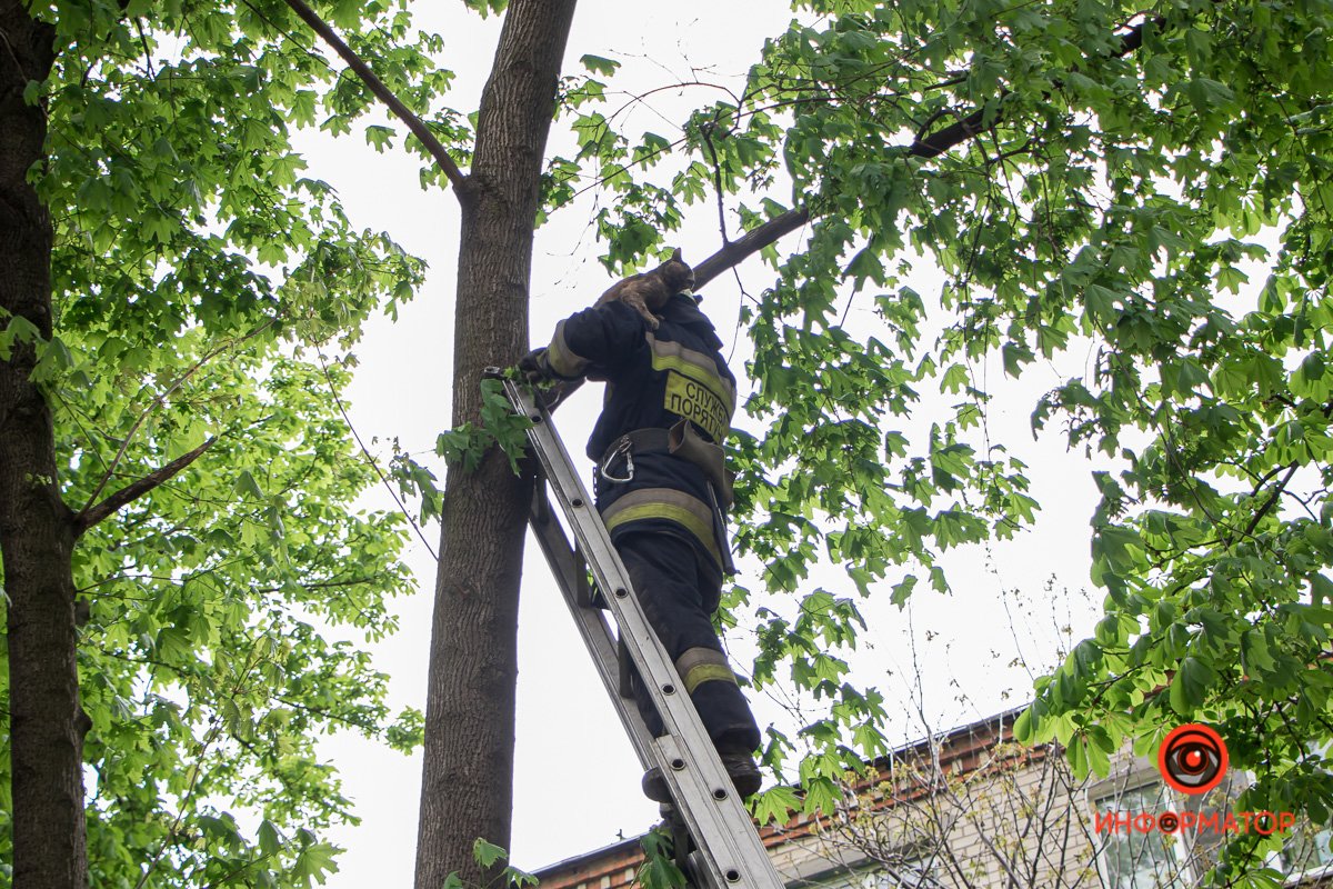 Обнимашки Обнимашки