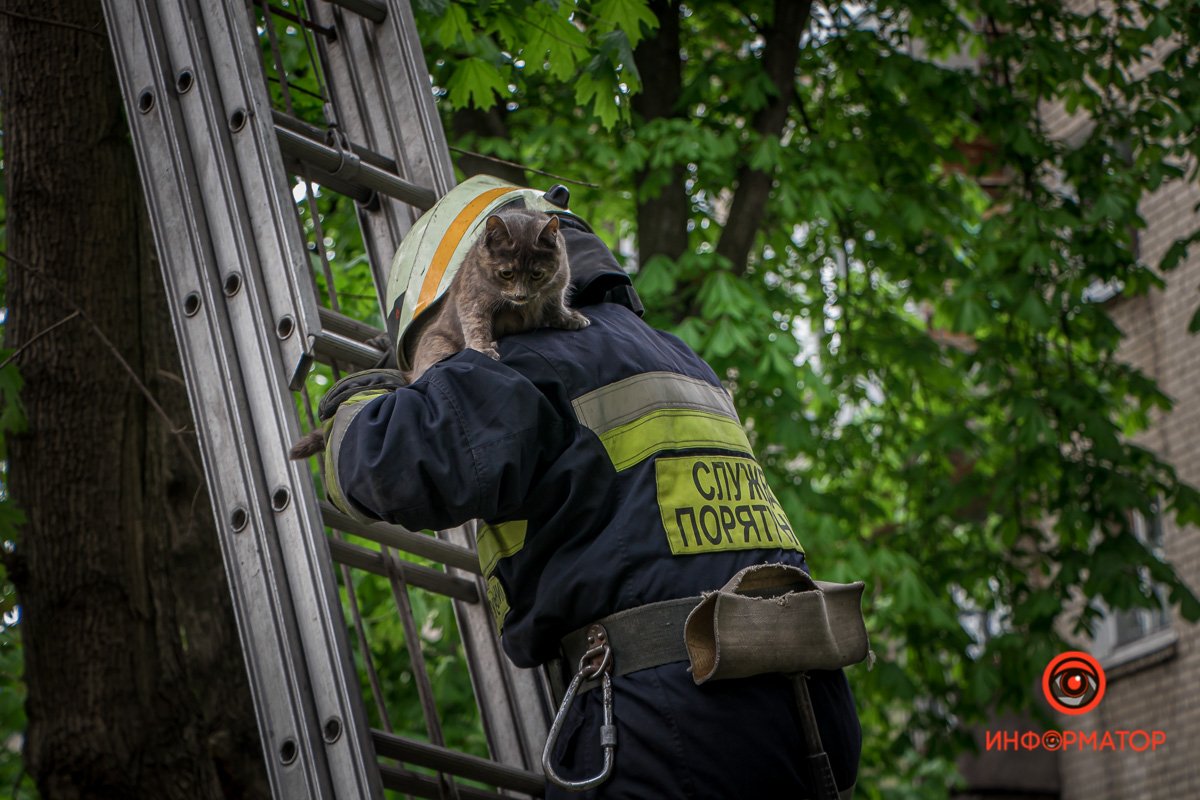 Рад быть спасенным Рад быть спасенным