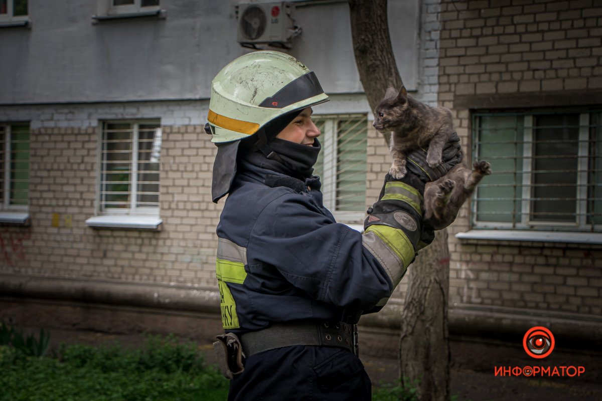 - Спасибо, дружище, там было страшно! - Спасибо, дружище, там было страшно!