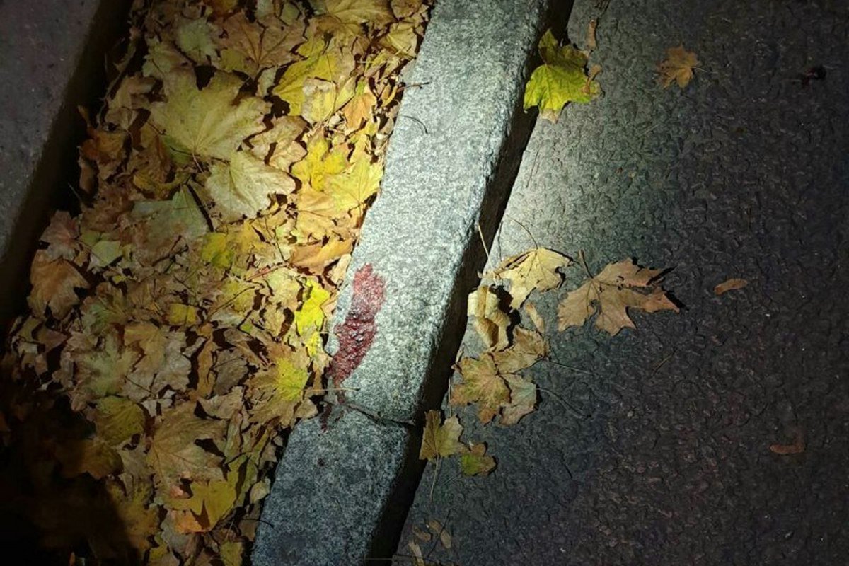 Погиб пешеход 1939 года рождения Погиб пешеход 1939 года рождения