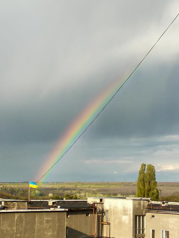 Город словно замер, чтобы не спугнуть ее