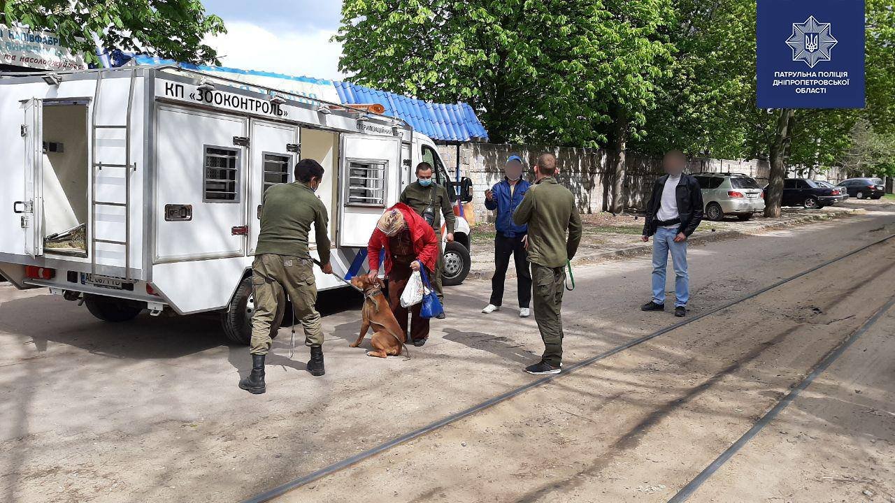 За вашего питомца отвечаете вы За вашего питомца отвечаете вы
