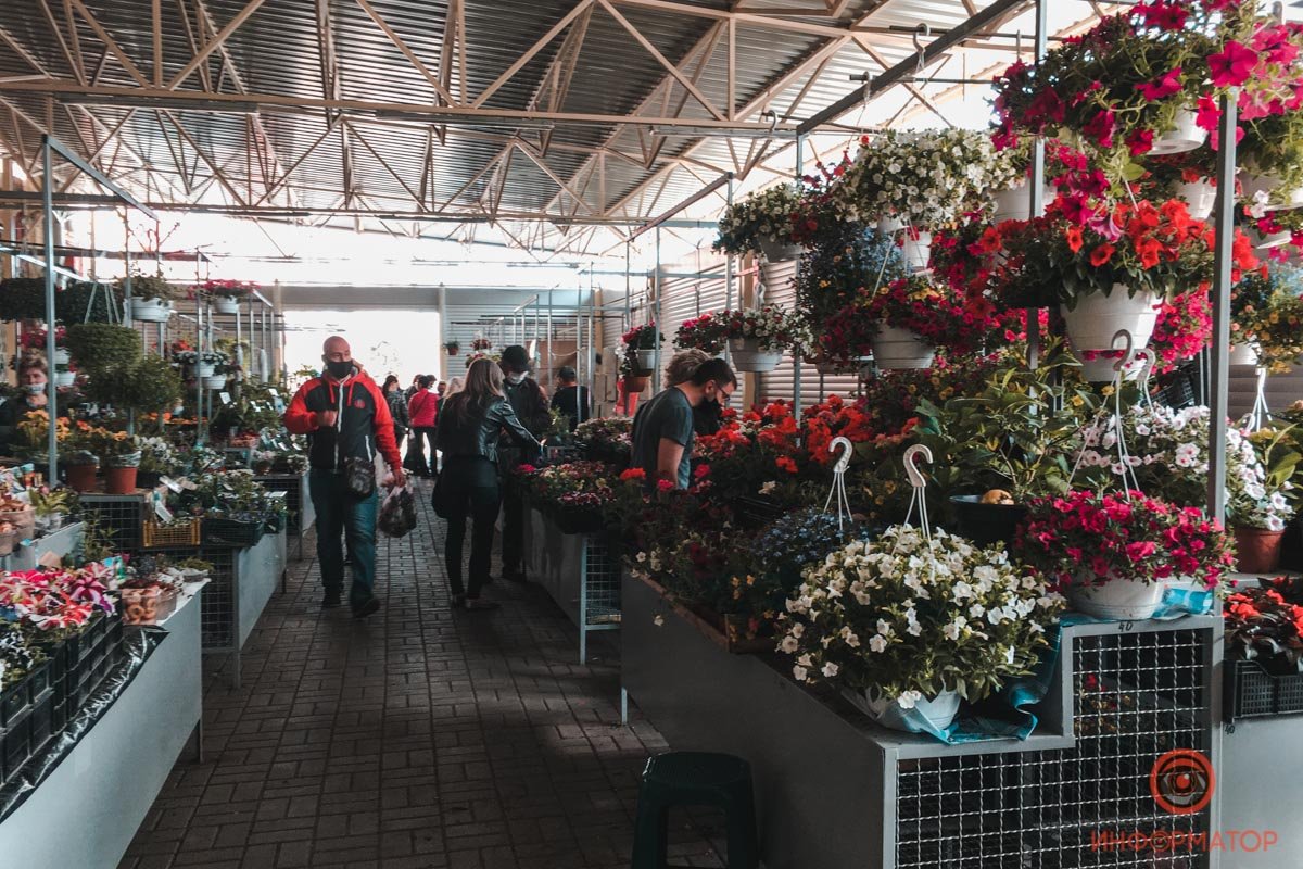 Наверное, цветочки слишком красивые для того, чтобы быть разносчиком инфекции