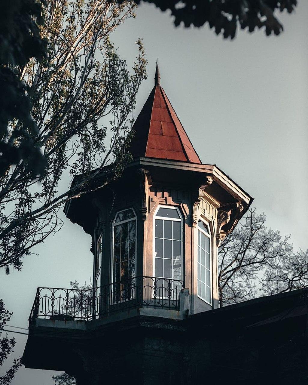 Фото: artemlazarev_ph