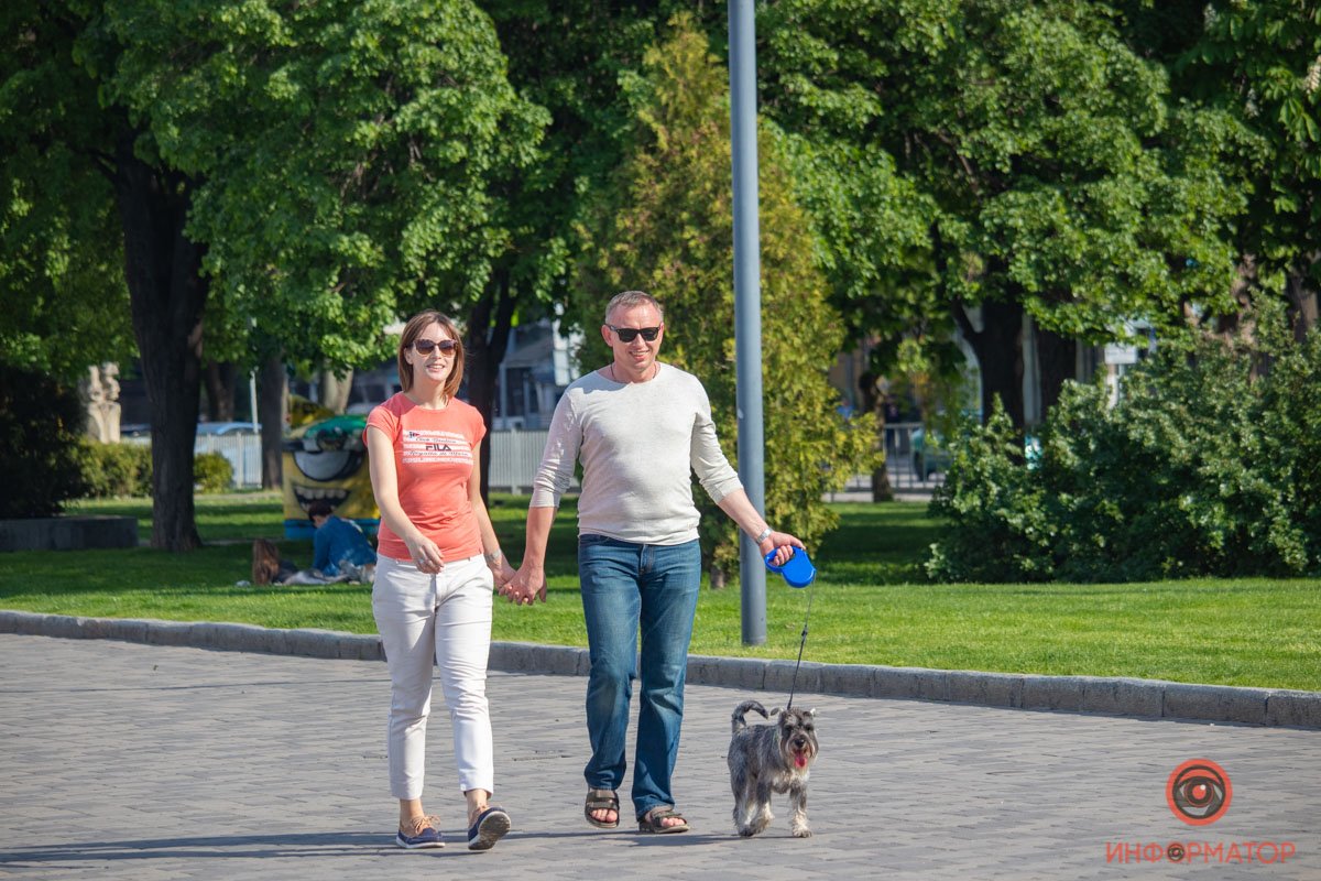 *еще одна шутка о том, сколько человек за день выгуляли эту собаку*