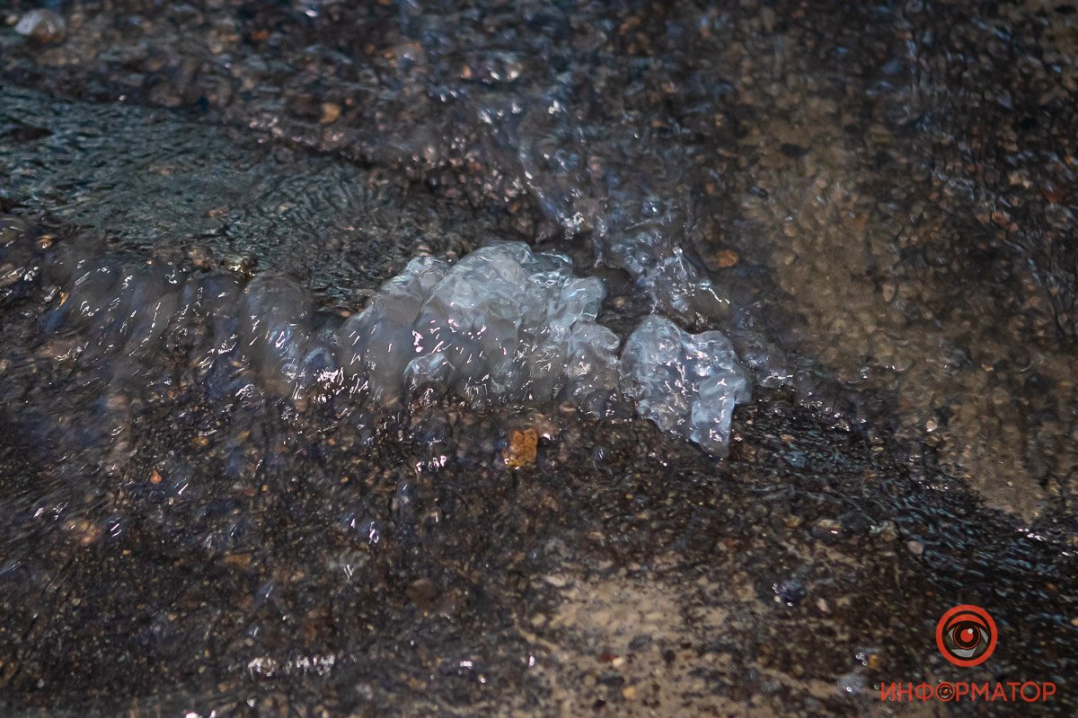 Смотрите под ноги Смотрите под ноги