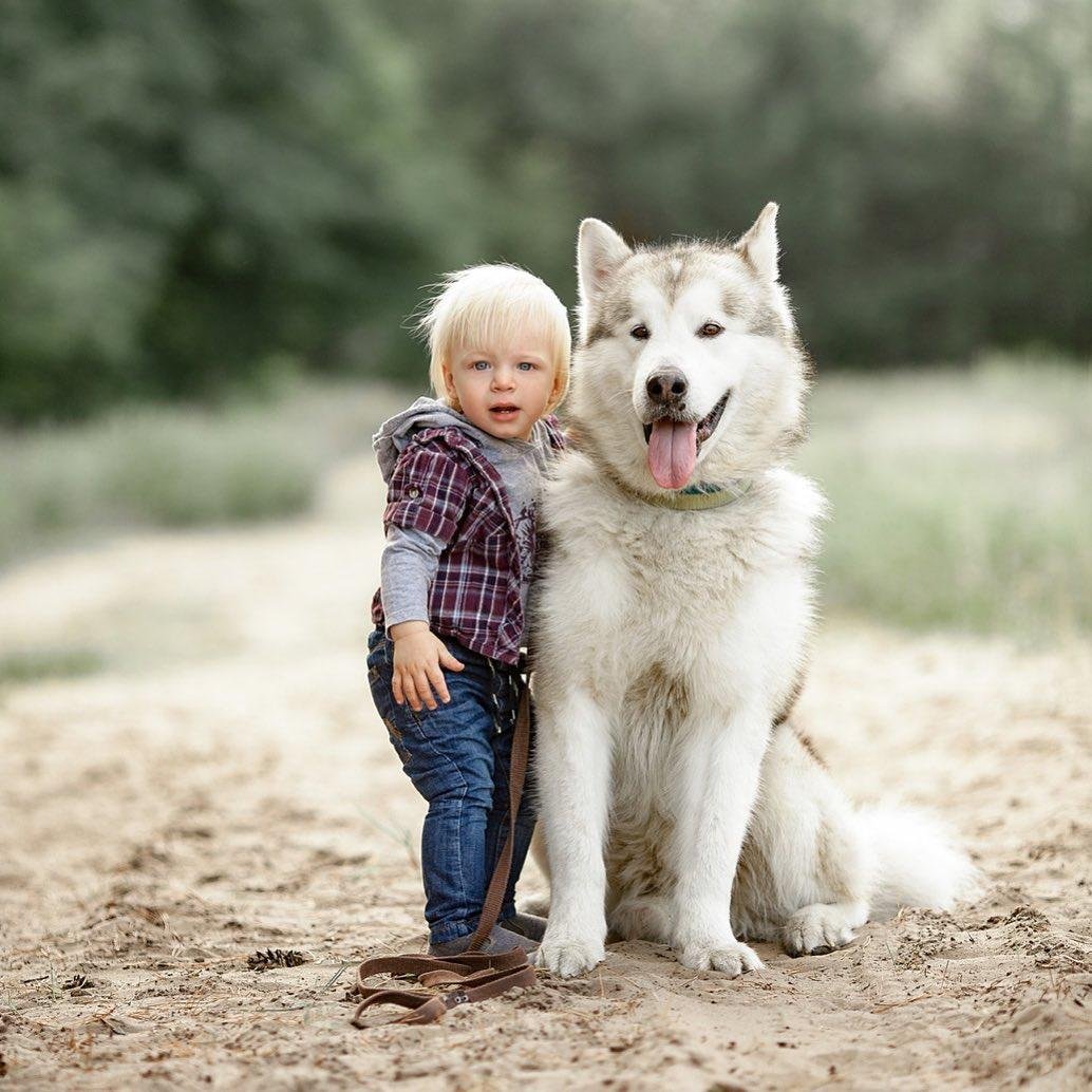 Все по очереди гуляют с собакой. Фото: stasgubkin