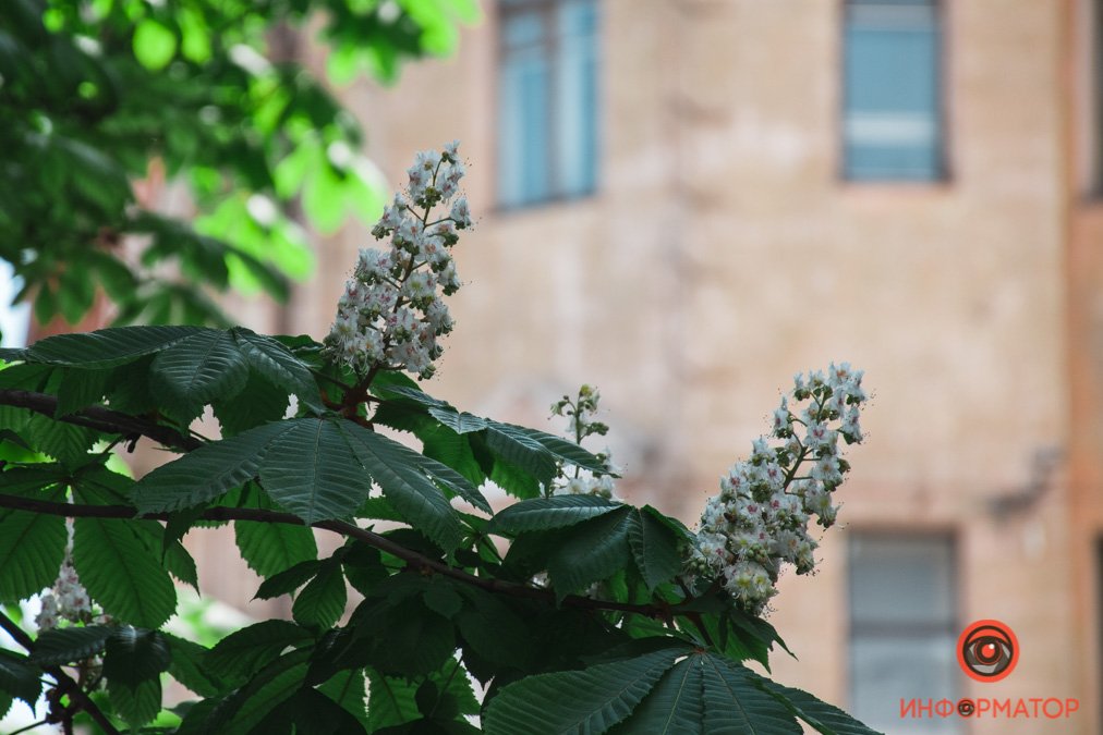 Как детские наполнены карманы