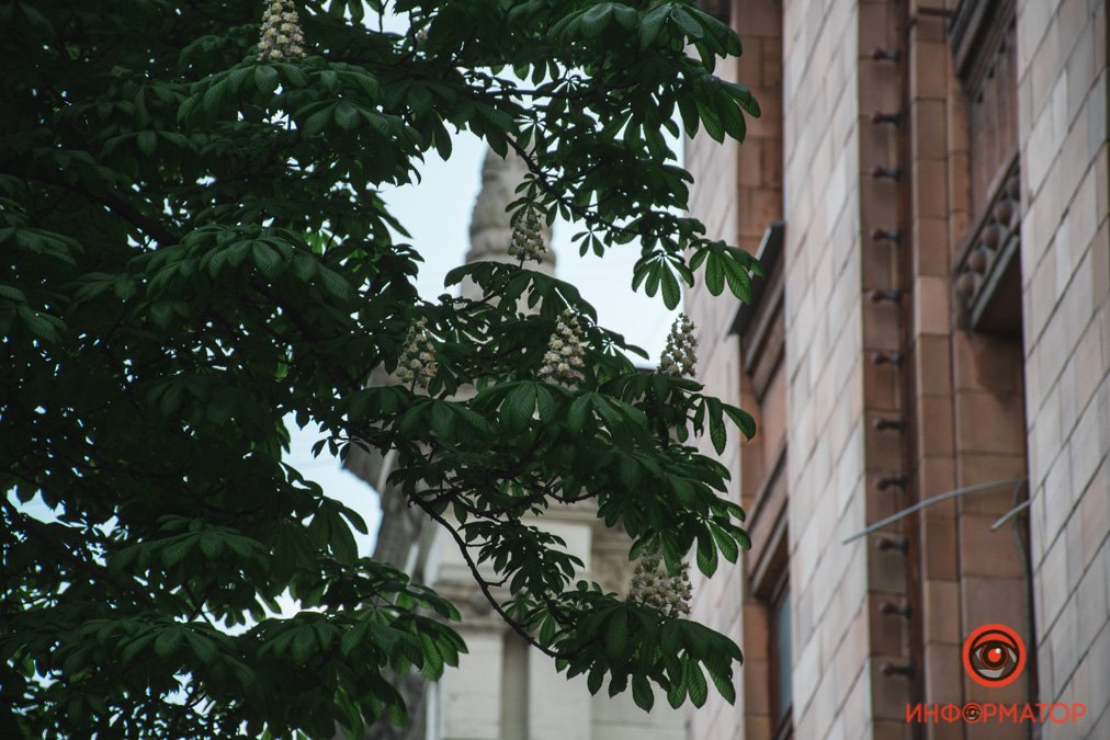 Историями новых городов