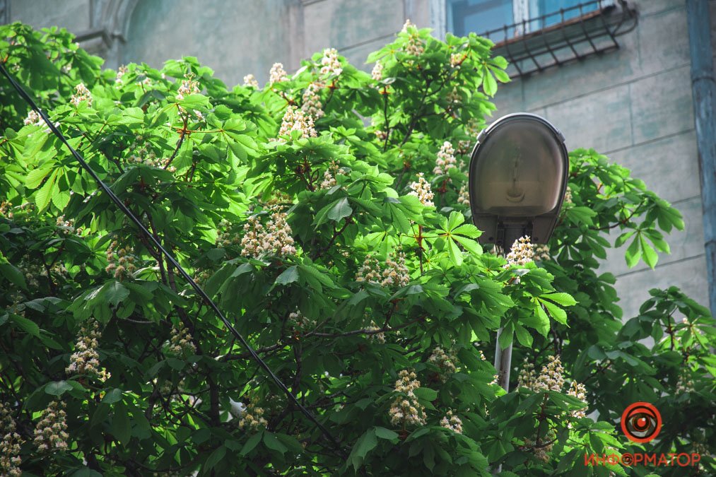 Как теплый майский карантинный вечер