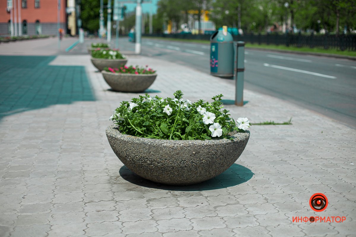 Прохожие становятся добрей