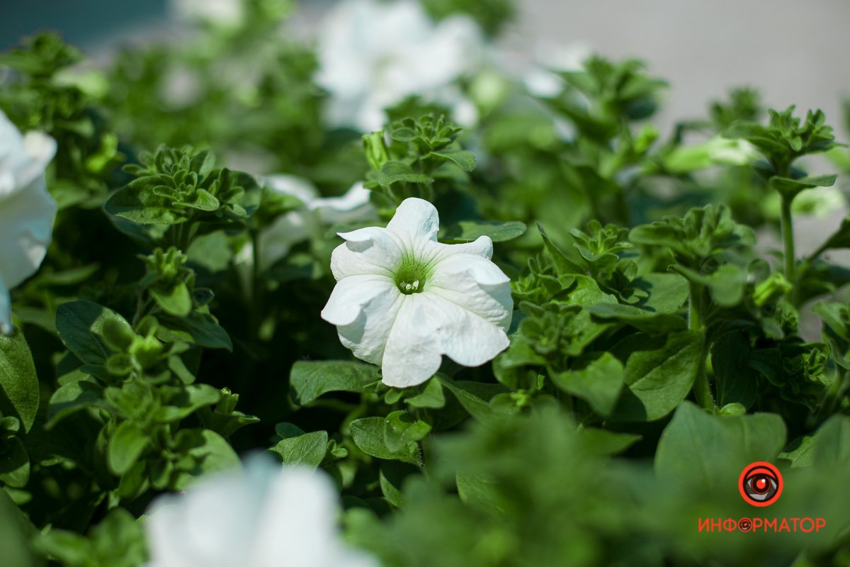 Как хочется кому-нибудь признаться