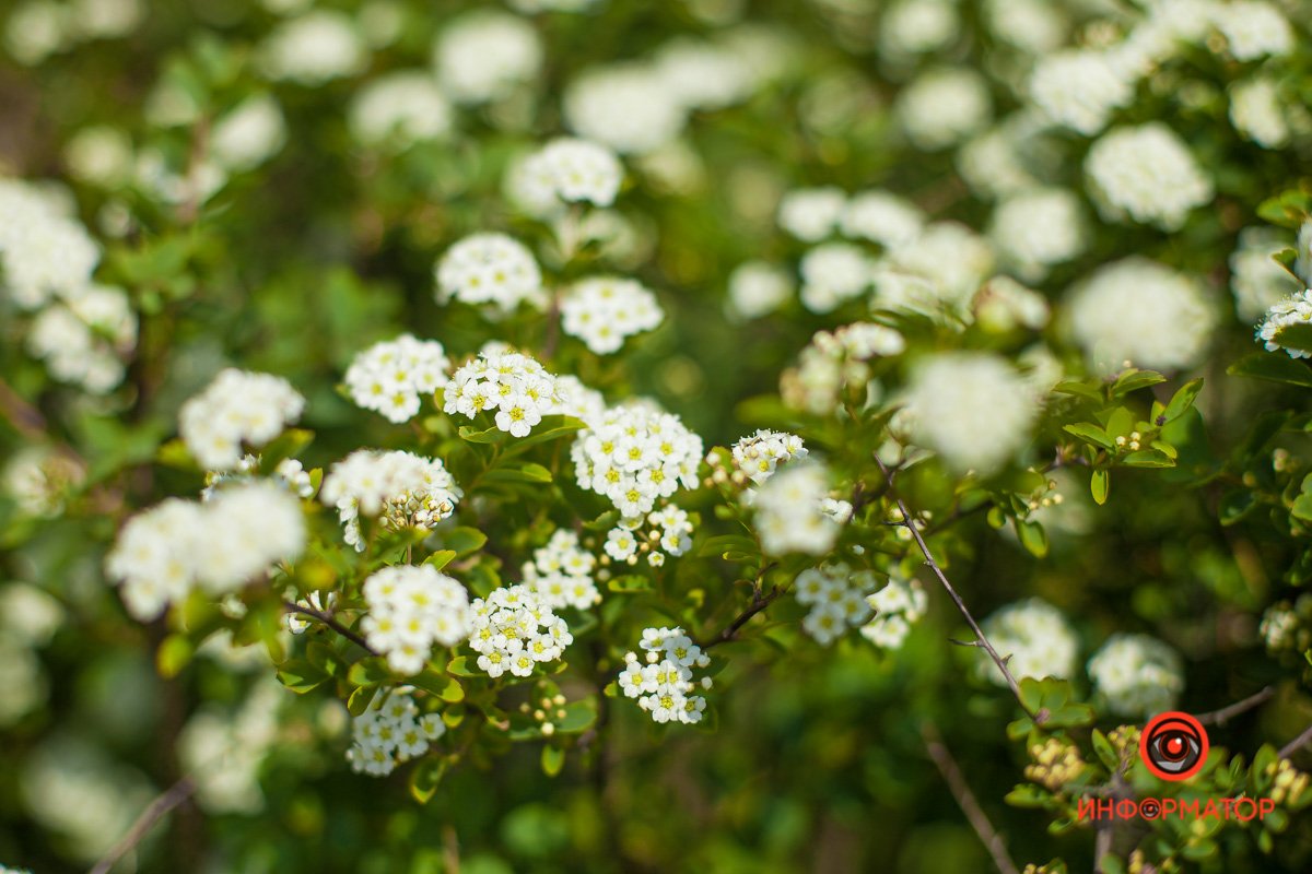 Что ты влюблен - безмерно, глубоко