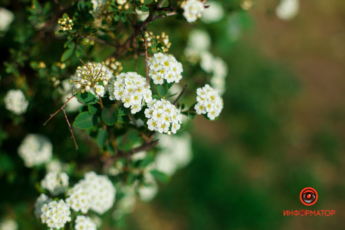Как в сердце застучало счастье