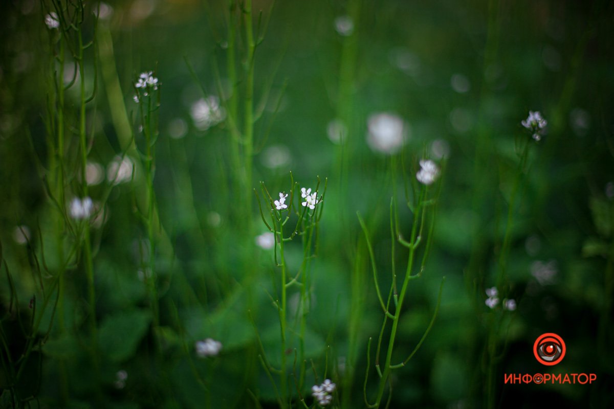 Весна пришла Весна пришла