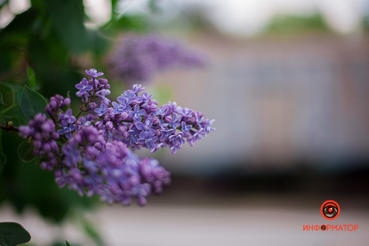 Наконец тепло! Наконец тепло!