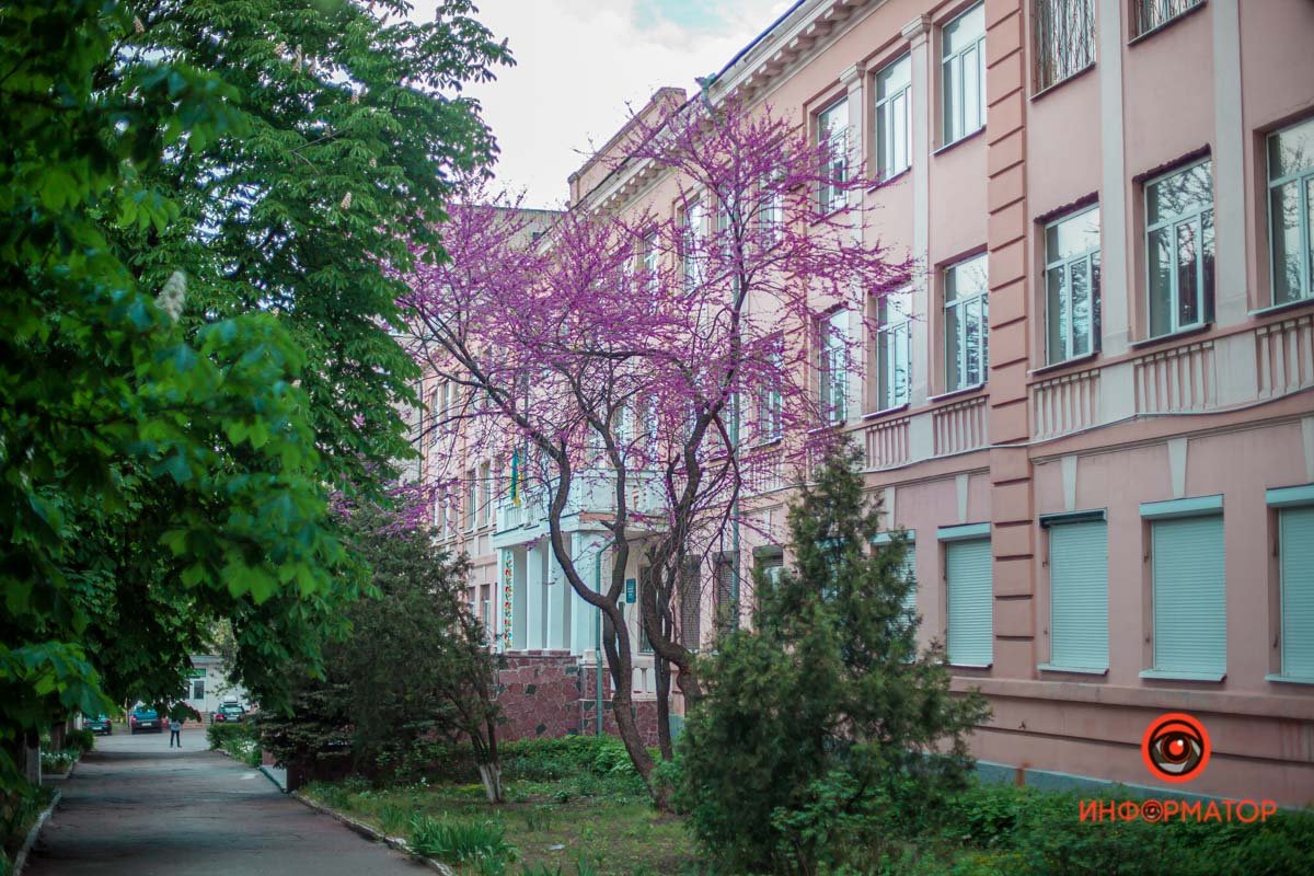 Весна пришла