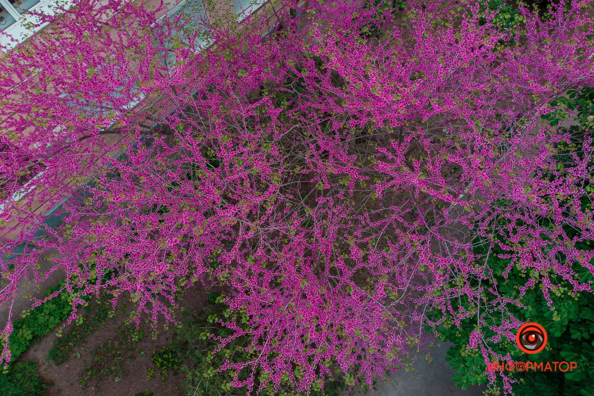 Завораживающе