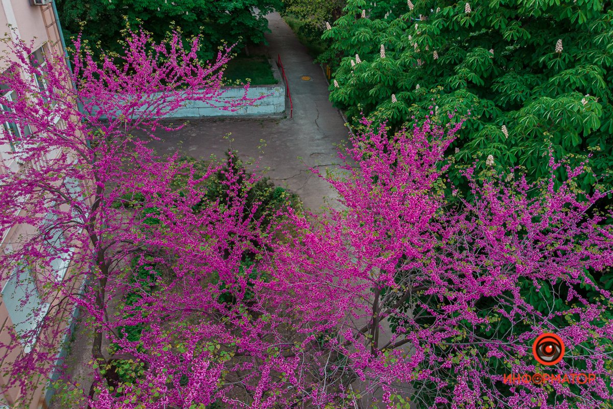 Днепр прекрасен