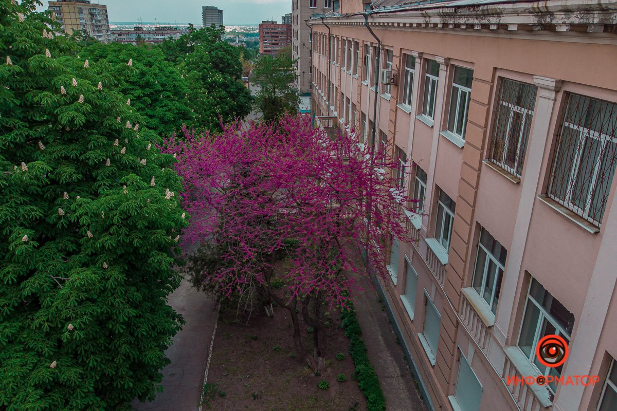 Наслаждайтесь